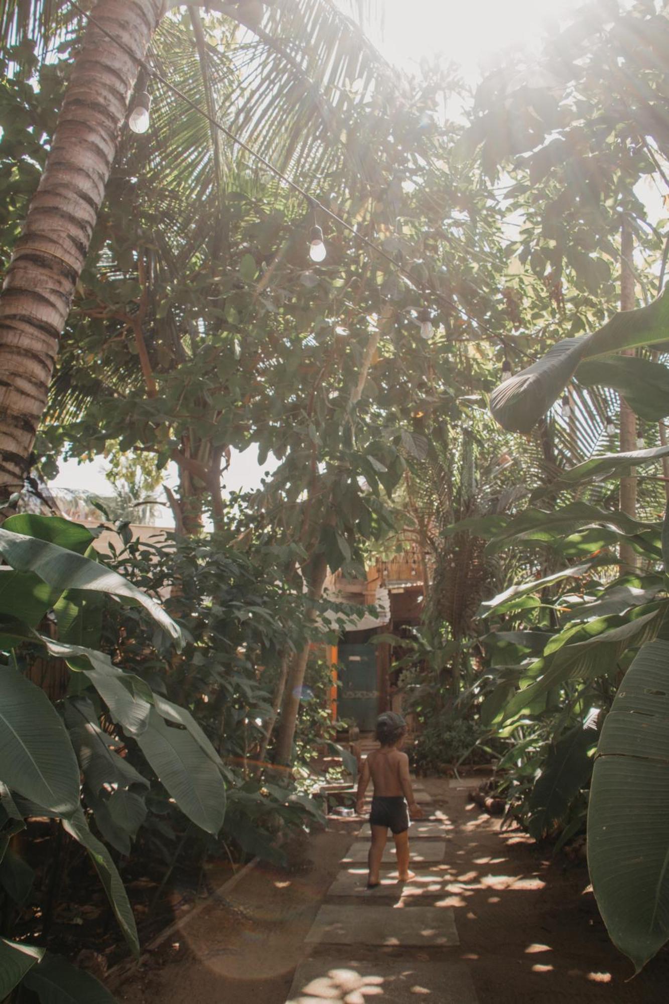 El Paredón Buena Vista Casa Austeraヴィラ エクステリア 写真